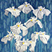 Yoichi Watanabe Gallery